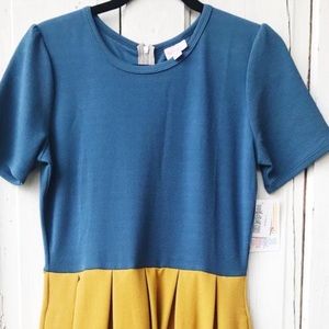 LulaRoe Amelia Colorblock Dress